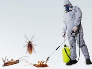 افضل شركة رش مبيدات بالدمام